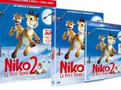 Niko Petit Renne DVD, Blu-Ray, version Collector Mars Découvrez making-of pour petits livret d’activités