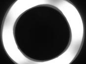 semaine Gold Zebra Invisible Disorder