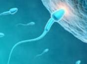 FÉCONDITÉ: qualité sperme aussi saisonnalité American Journal Obstetrics Gynecology
