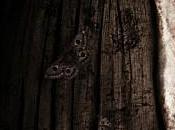 Mama (2013) Andres Muschietti