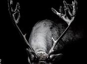 édition Promenades Photographiques