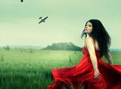 Photographies l’année 2013 finalistes