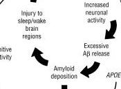 ALZHEIMER: sommeil perturbé précède arrivée JAMA Neurology