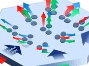 dévoile écran sans lunette avec grands angles vision