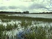 Tasmanie, enorme envie