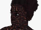 Images travail l’artiste nigeriane toyin odutola portraits noirs