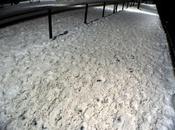 Neige/Snow/Nieve/雪 (2013)