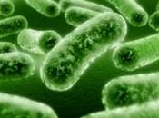 Évitez erreurs d'amaigrissement!!! Tome