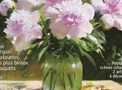 Pratique Arts numéro