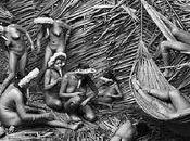 Sebastião Salgado expose photos projet Gênesis Muséum d’Histoire naturelle Londres