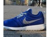 Nike Roshe Dynamic Flywire Pack