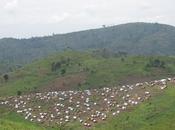 République Démocratique Congo Province Nord-Kivu Plus deux mois après conférence paix Goma, 800.000 personnes sont toujours déplacées dans Province.