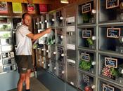 distributeur automatique légumes