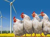 Financement participatif pour éoliennes Loué