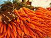 Rillettes légères carottes cumin