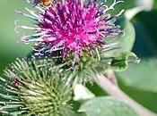 prendre leçons dans nature