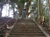 Trail World Tour, chemin temples Shikoku, etape, dans montagnes Shikoku.