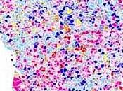 Scrutins locaux changer