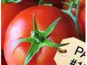 Comment seule firme essaye d'acheter Mère Nature