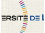 Étude l'offre commerciale livres numériques destination bibliothèques lecture publiq