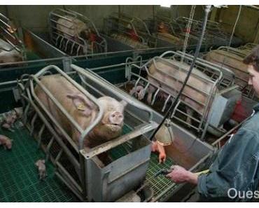 Labels Bio grandes surfaces : tromperie sans modération