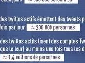 Infographie usages pratiques Twitter France