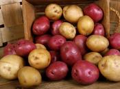 pomme terre vertus insoupçonnées