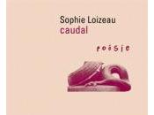 [note lecture] Sophie Loizeau, "caudal", Françoise Clédat