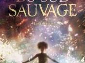 Bêtes Sauvage: once there Hushpuppy…[Sortie DVD/Blu-Ray]