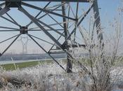 résultats hausse trimestre suite hiver rigoureux