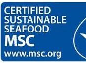 label Marine Stewardship Council (MSC) machine cash