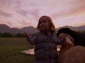 Traumatisme post Tenebras