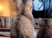 Sombre Paradis Sommet Escaliers L'Enfer