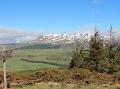 Lacs Pavin Montcineyre