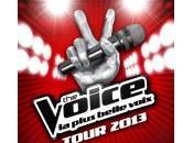 [Emission télé] Voice saison
