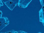 écran cassé d'iPhone peut faire superbe fond d'écran...