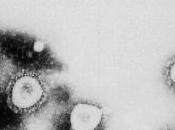 Santé nouveau coronavirus touché France