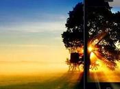 Stockez photos avec Amazon Cloud Drive Photos iPhone...