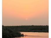 Voyage Sundarbans