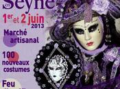 Venise Seyne 2013 programme