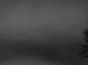 Arnault Joubin VOZ’Galerie