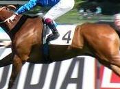 Lockinge Stakes 2013