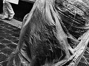 Plastic errant seul sous pluie.