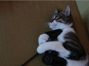 Sony dévoile PS4…