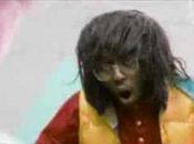 Mardi Musique chaton