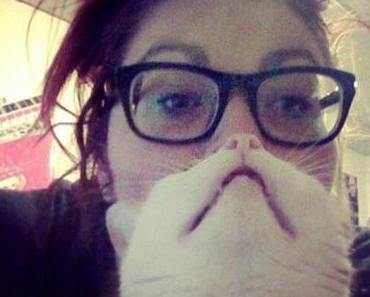 Votre chat devient votre barbe, la nouvelle mode d’internet ?