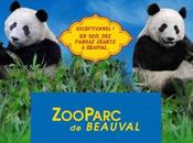 prestigieux ZooParc Beauval