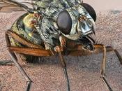 nouvel événement photographique dans l’Hérault