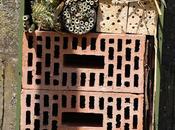 Récup faire nichoir insectes