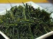 Sencha Ashikubo, cultivar Oku-midori